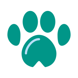ESL lesson plan: Describing animals with be